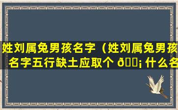 姓刘属兔男孩名字（姓刘属兔男孩名字五行缺土应取个 🐡 什么名子）